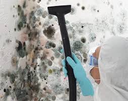 Best Basement Mold Removal  in Franklin, TX